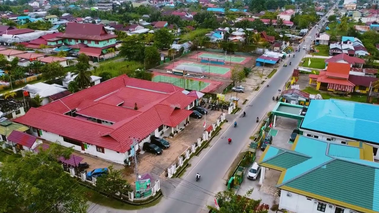 Buka Lahan dengan Cara Dibakar, Ali Divonis 10 Bulan Penjara oleh PN Tembilahan