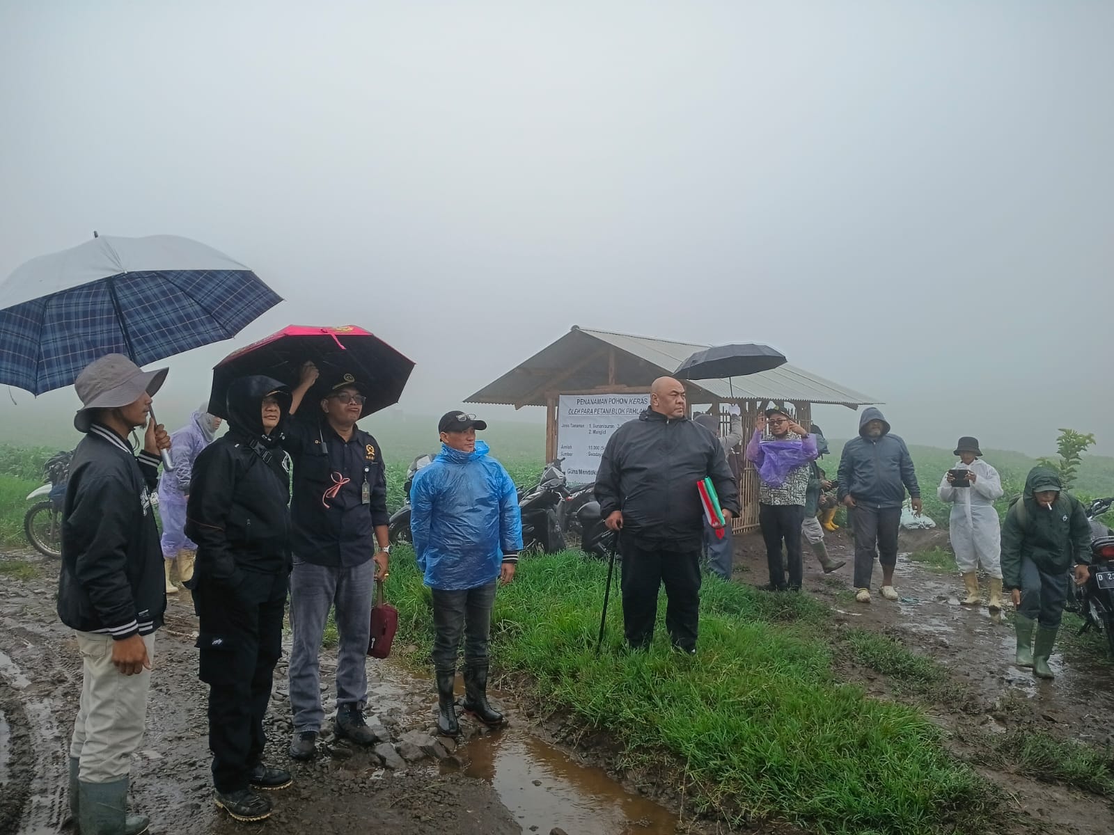 Kabut Menyelimuti Selama Decente